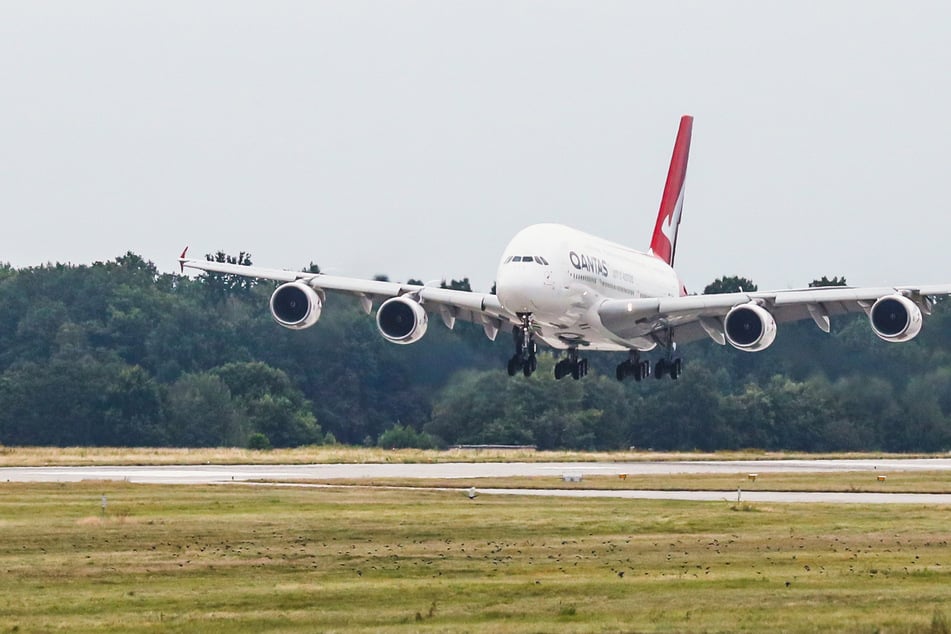 Die Landung des Qantas-Flugzeugs kann vom Vorfeld aus beobachtet werden.