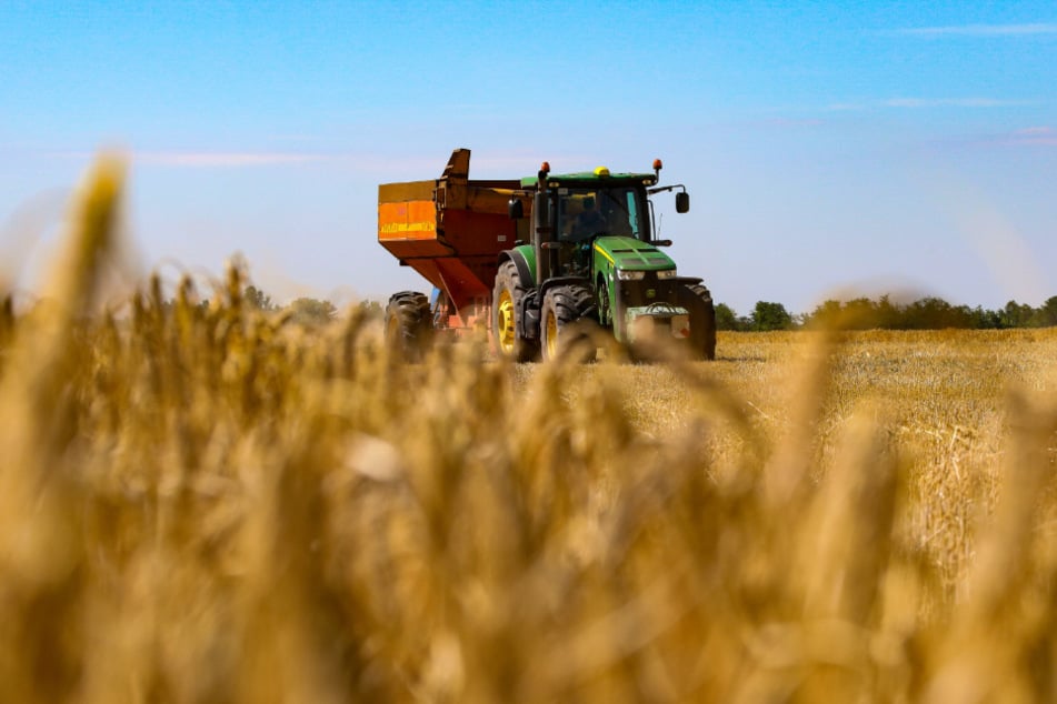 Ein Mähdrescher erntet Getreide auf einem Feld in der Region Odessa im Süden der Ukraine.