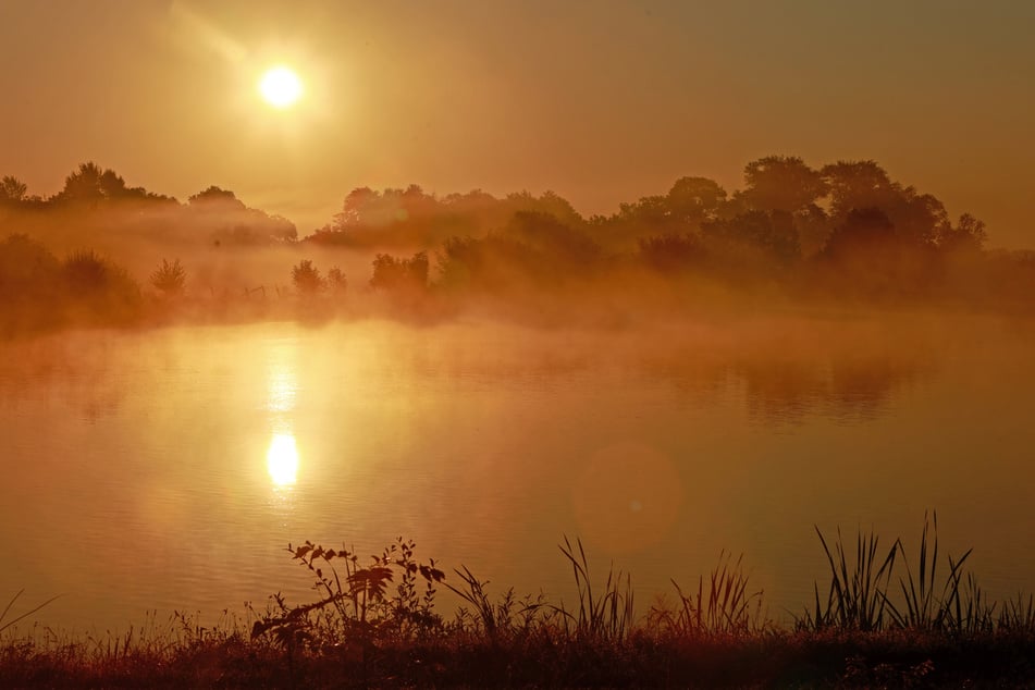 An diesem Wochenende zeigt sich die Sonne wieder öfter in Sachsen-Anhalt. (Symbolbild)