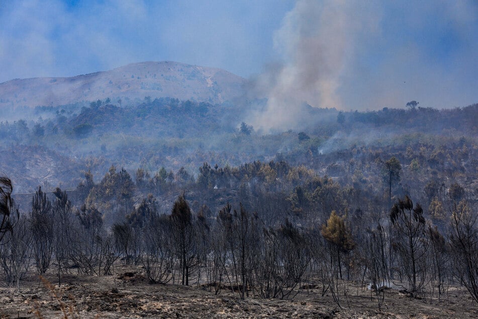 Feuer im Vesuv-Nationalpark, das vor über einer Woche ausgebrochen ist.