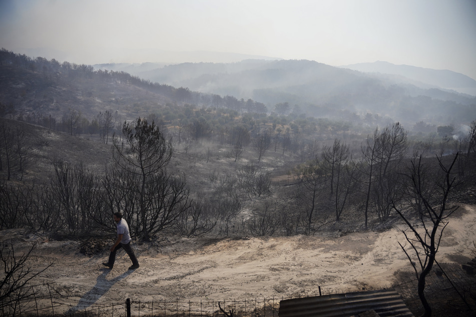 Ein großer Brand zerstörte den Wald des griechischen Dadia-Nationalparks, eines der größten Waldgebiete im Südosten Europas.