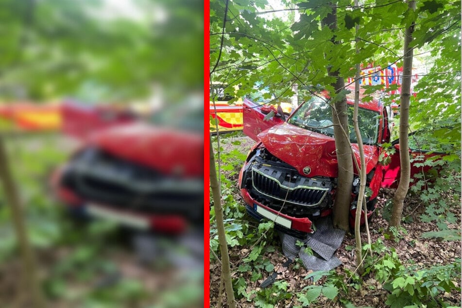 Wildunfall im Harz: Ausweichmanöver endet mit Fahrt gegen Baum