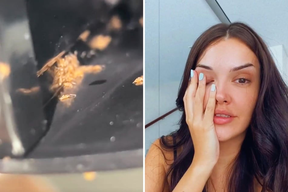 Ex-"Germany's Next Topmodel"-Kandidatin Enisa Bukvic (28) hat eine Spinnen-Kolonie in ihrer Kaffeemaschine entdeckt.