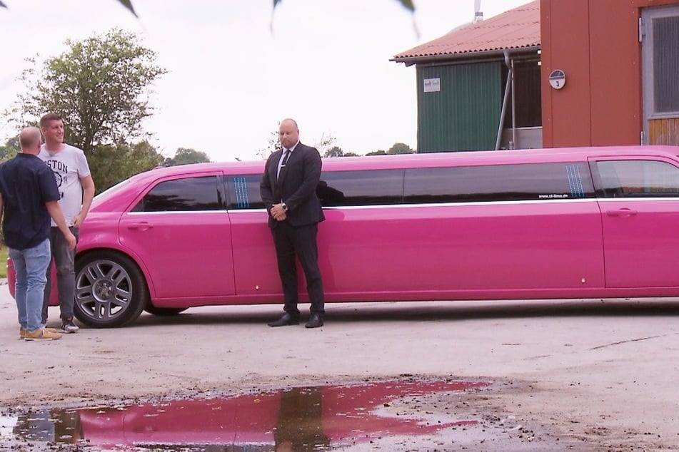 Für die Fahrt zu seinem Hof hat sich der Milchbauer etwas ganz Besonderes ausgedacht: eine Fahrt in einer pinken Stretch-Limousine.