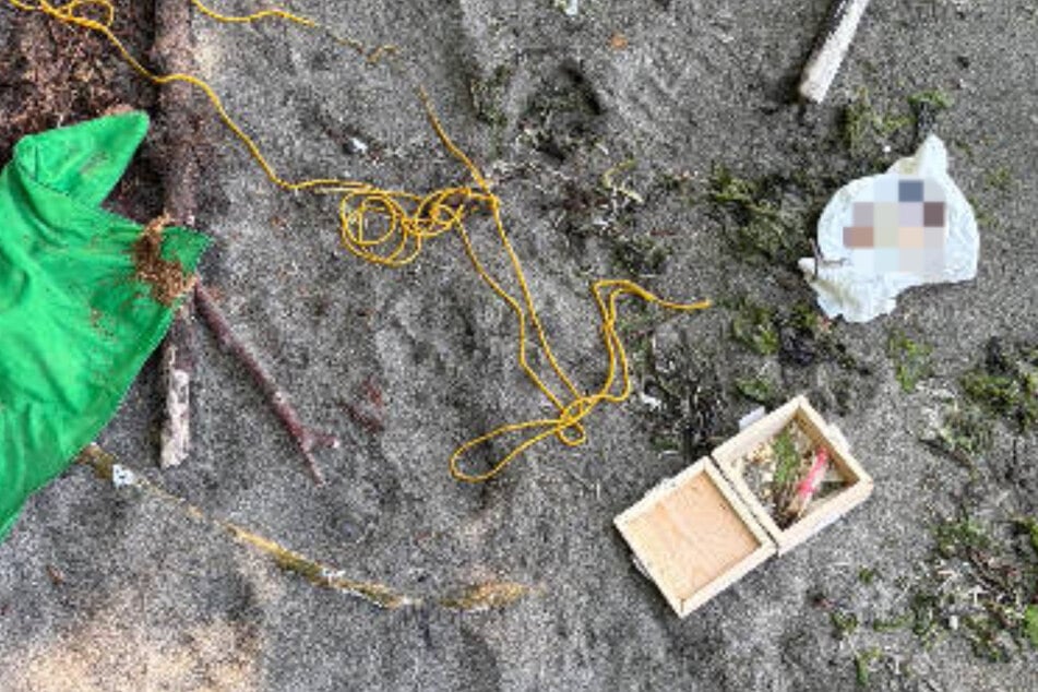 Der Fund von Kevin Ewing an einem Strand im US-Bundesstaat Washington.