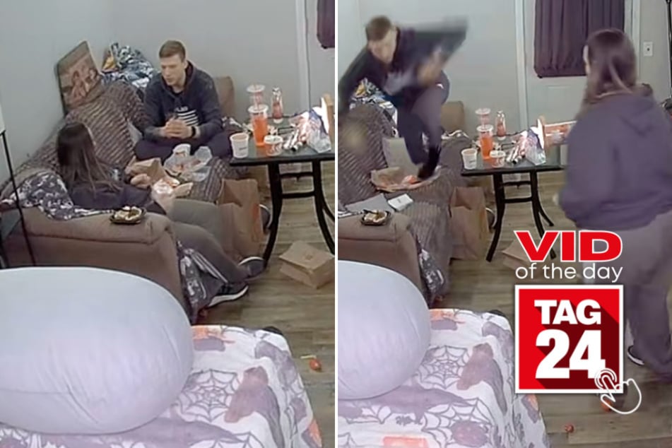 viral videos: Viral Video of the Day for November 11, 2025: Guy's wild reaction to spider has TikTok dying laughing