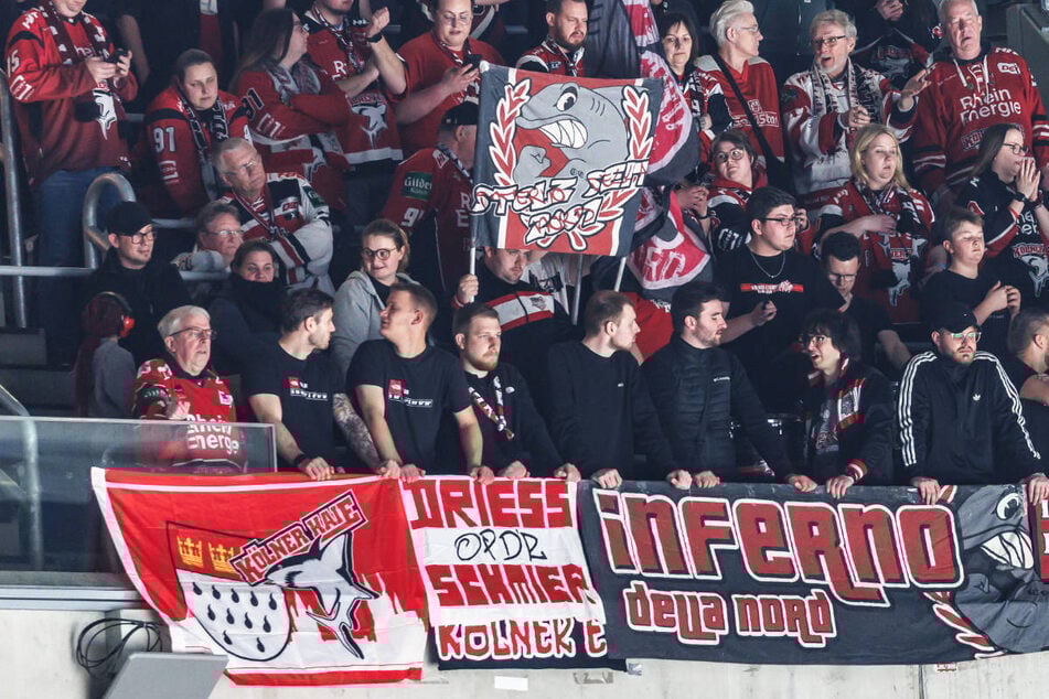 Berlin: Eisbären-Chaoten attackieren Fanbus der Kölner Haie mit Stangen und Flaschen