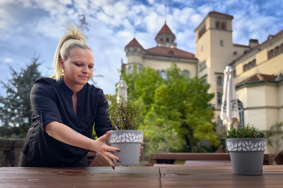 Das Café verfügt auch über einen Außenbereich.