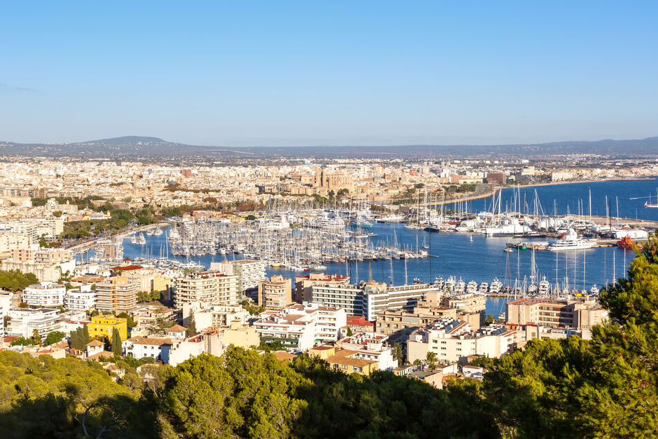 Das tragische Unglück ereignete sich auf Mallorca.