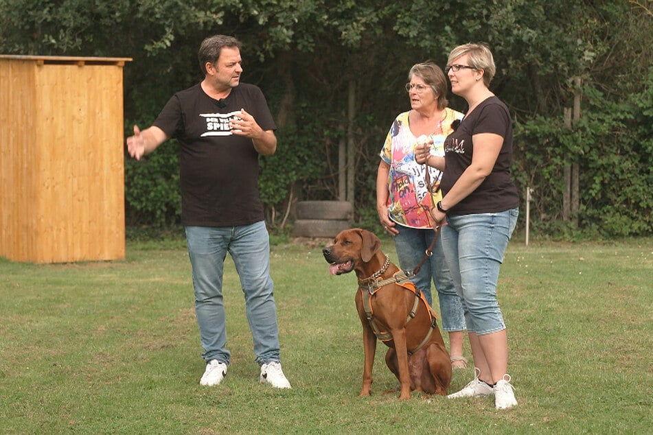 Martin Rütter (53) erklärt Sarah und ihrer Mutter, wieso Lu eine Kastration benötigt.