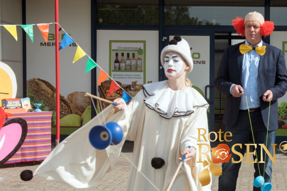 Rote Rosen: Welcher Clown kassiert hier spontanen Heiratsantrag?