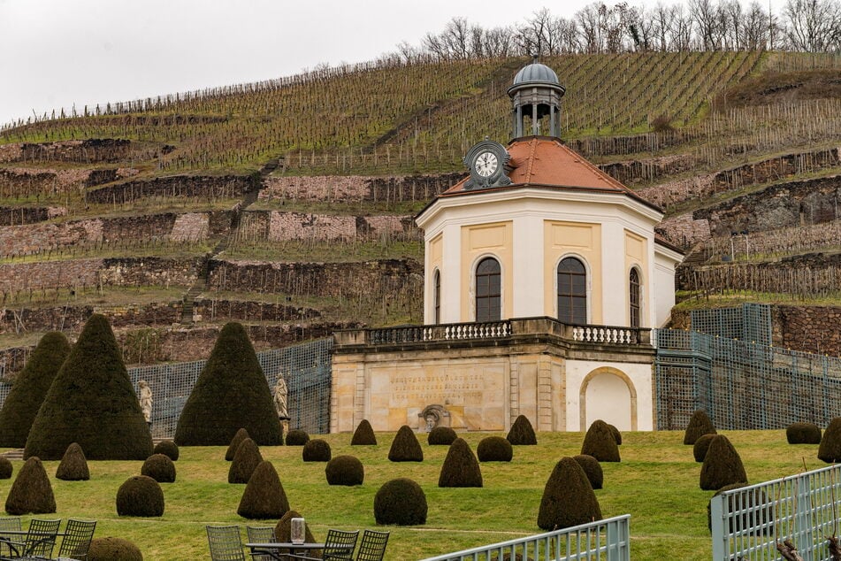 Schloss Wackerbarth in Radebeul.