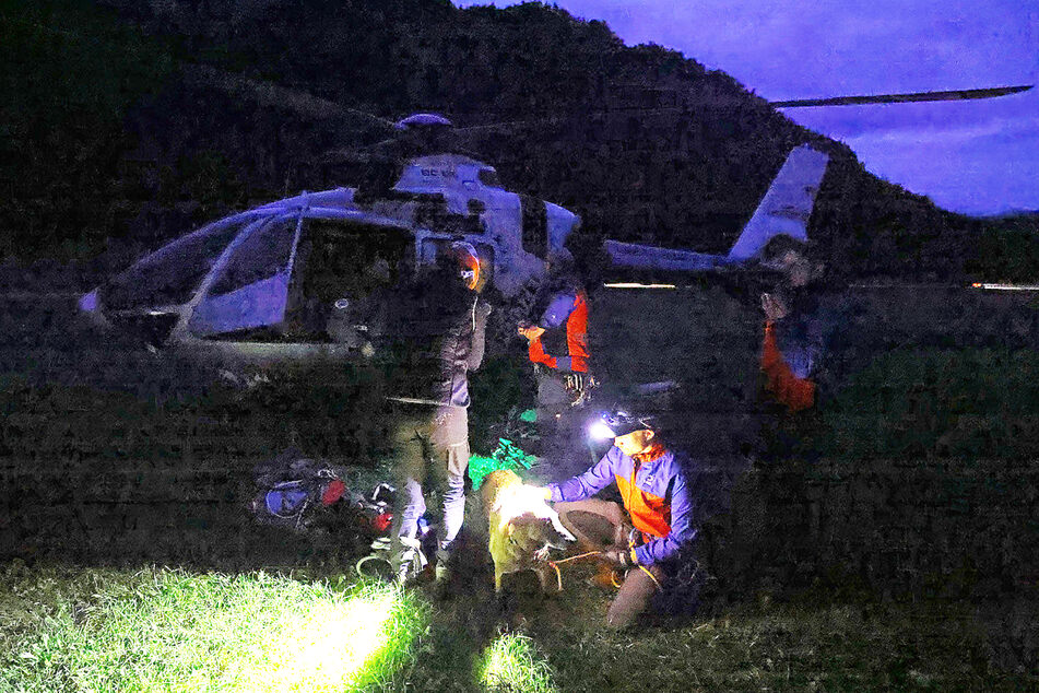 Einsatzkräfte der Bergwacht retteten die verletzte Hündin.