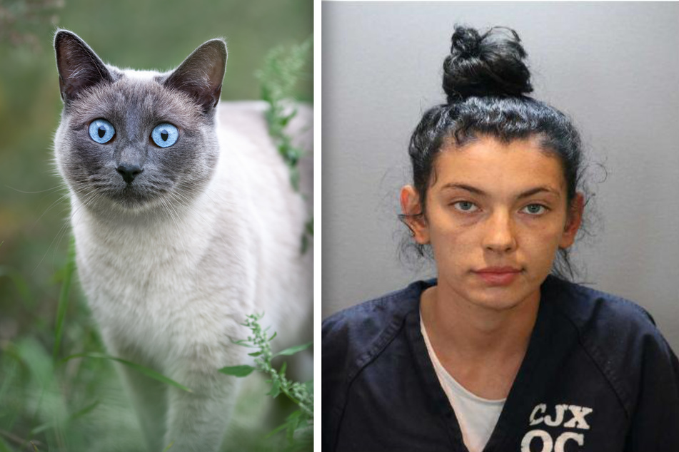 Woman charged with murder after running over a man she believed hurt her cat