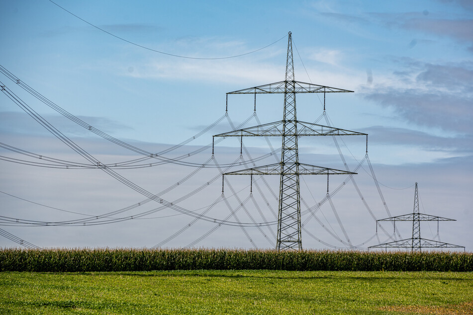 Eine neue Hochspannungsleitung sollte das Umspannwerk Falkenstein an die Leitung Herlasgrün - Markneukirchen anbinden. (Symbolbild)