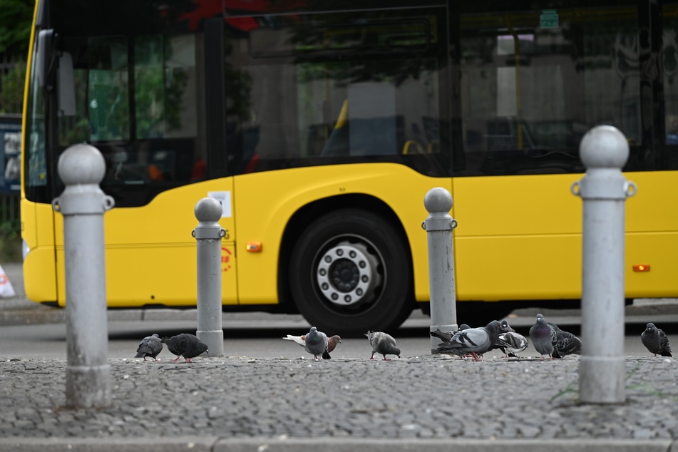 Bei einem tragischen Bus-Unfall in Willich wurde ein Mädchen schwer verletzt. (Symbolbild)