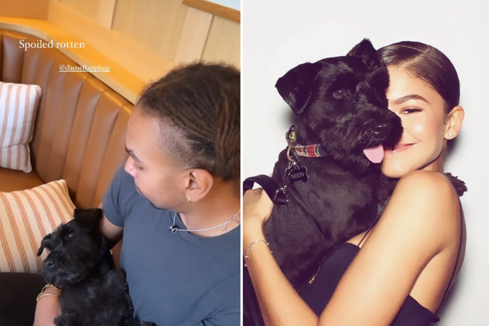 On Monday, Zendaya shared an adorable clip of her dog, Noon, snuggling with her assistant, Darnell Appling.