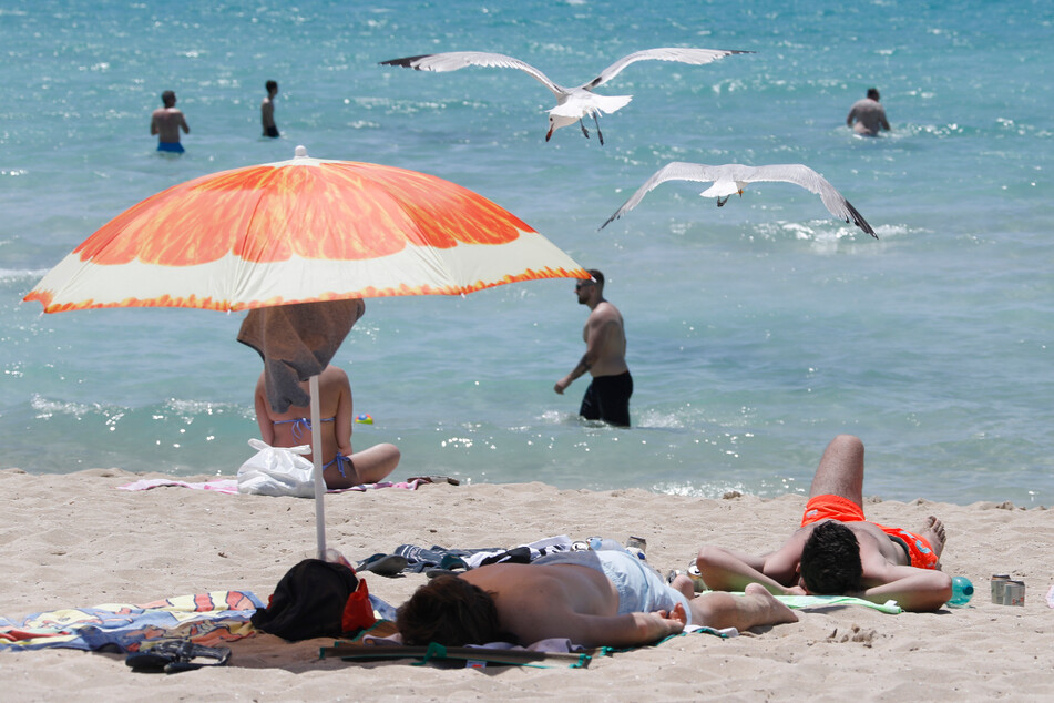Palma de Mallorca: Touristen genießen die Sonne am Strand von Arenal.
