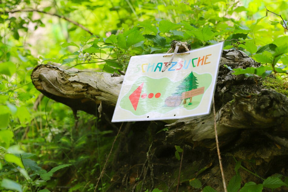Der Waldweg von Erdmannsdorf nach Augustusburg wird zur abenteuerlichen Schatzsuche für die Kids.
