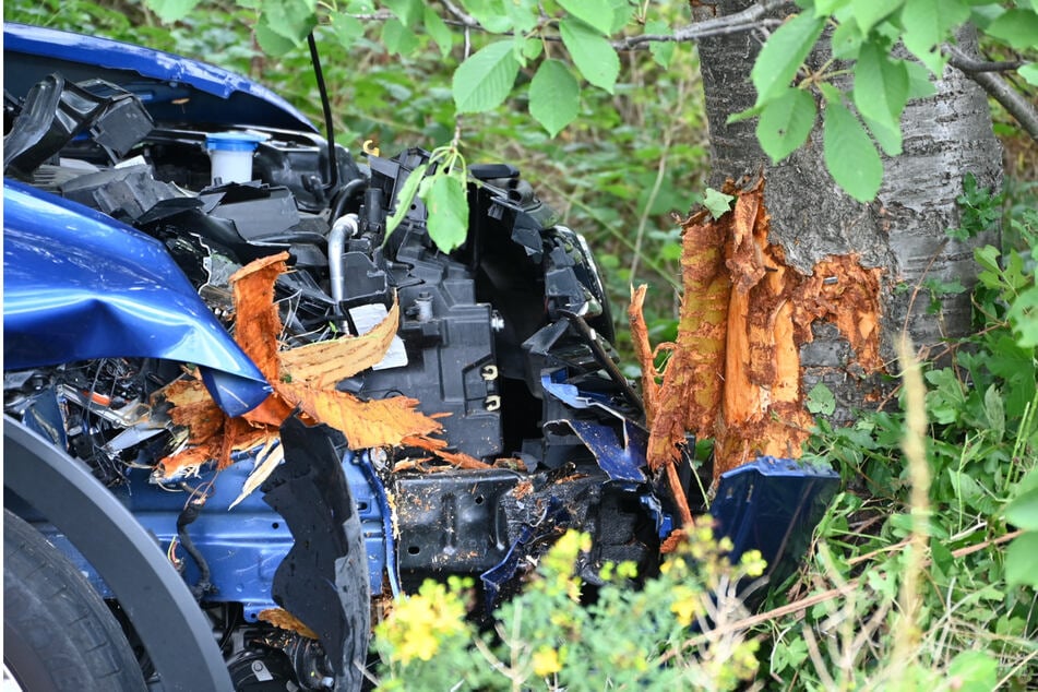 Der Wagen krachte mit der Front gegen einen Baumstamm.