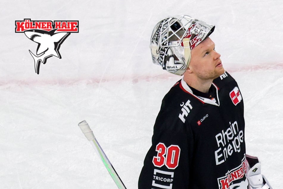 Gute Vorzeichen für die Play-offs? Kölner Haie räumen bei DEL-Preisverleihung ab