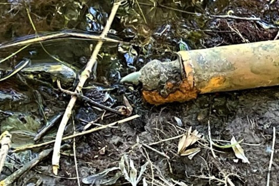 Mann findet beim Baden Panzer-Granate und bringt sie ans Ufer