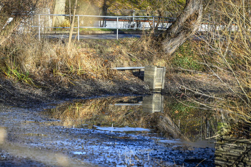 Geplant sind unter anderem neue Pflanzungen und Rückzugsräume für Tiere.