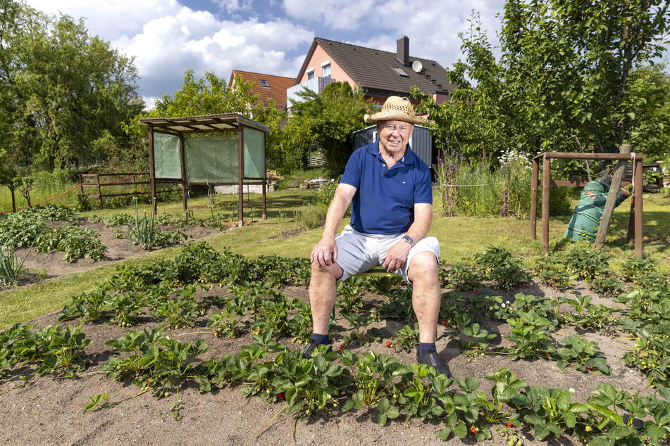 Die Knie von Kleingarten-Chef Eberhard Müller (83) sind seit der DDR-Oberliga kaputt. Seinen Garten deshalb aufzugeben, kommt nicht infrage.