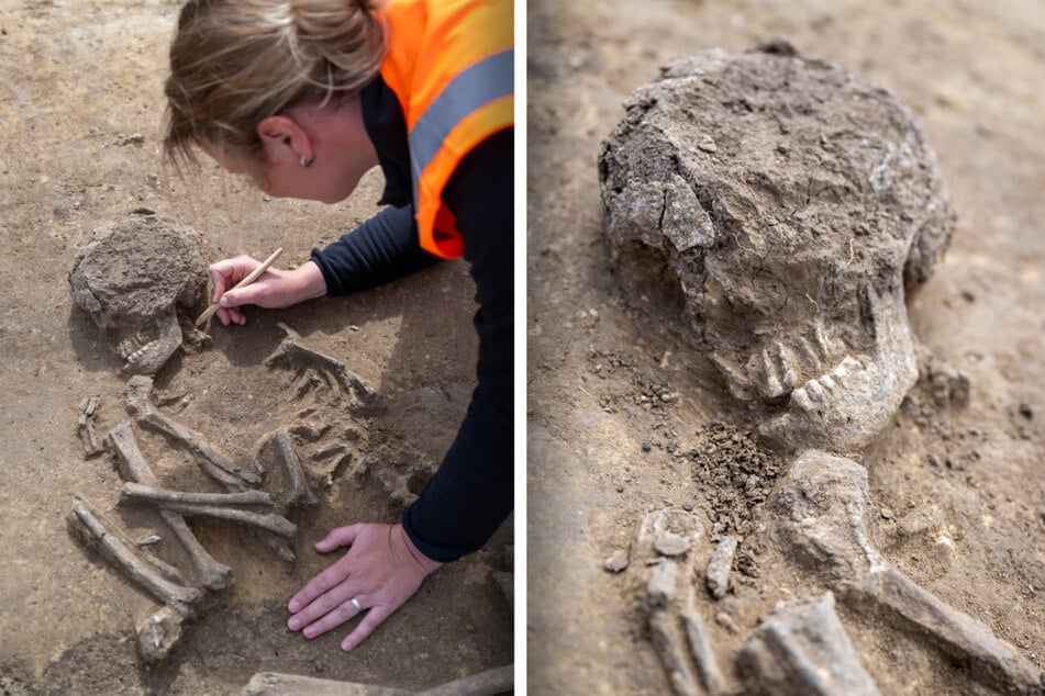 Melanie Weber-Walpuski vom Landesamt für Denkmalpflege und Archäologie Sachsen-Anhalt arbeitet an dem Skelett.