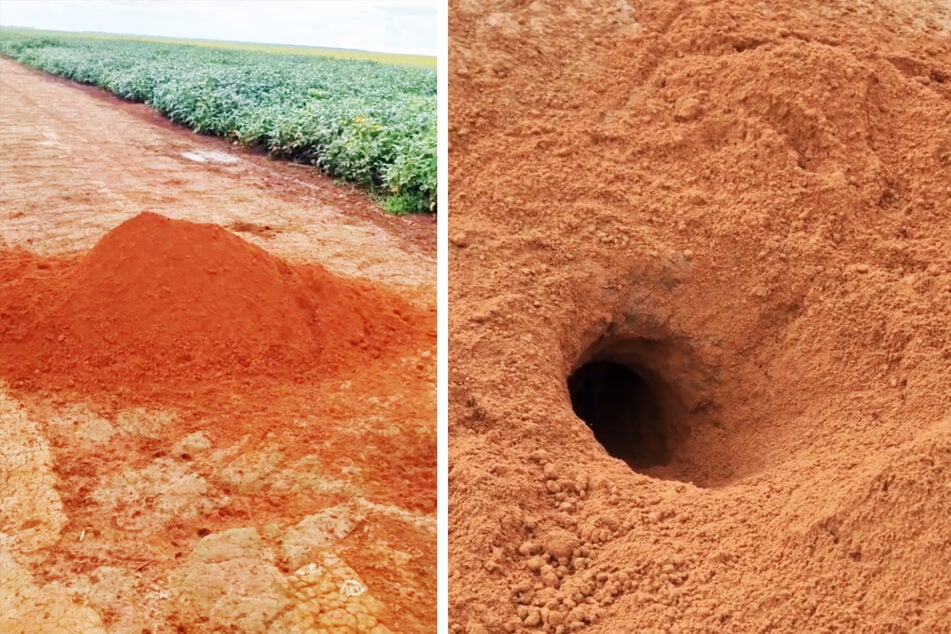 Auf einem Feld in Brasilien hat ein Bauer diesen Erdhügel samt Loch entdeckt.