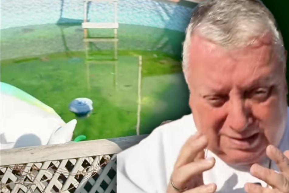 Grüner Pool! Sächsischer Gartensheriff "froh, dass sich nicht die Kaulquappen niedergelassen haben"