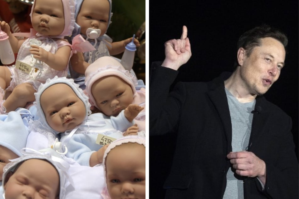 Elon Musk responds after report says he secretly had twins with a ...