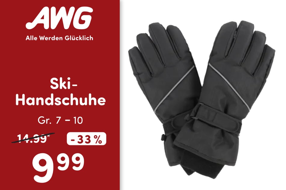 Ski-Handschuhe