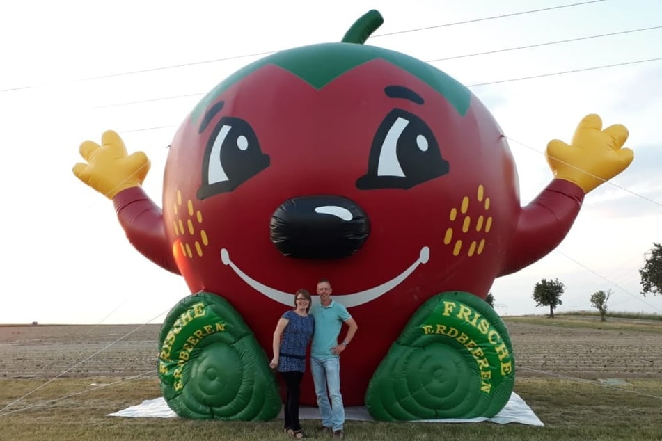 Die lächelnde Riesen-Erdbeere wurde beschädigt in einem Feld aufgefunden. (Archivbild)