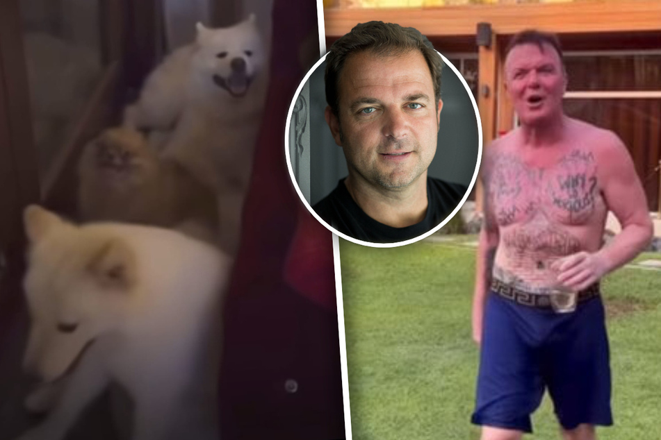 Neues Tierquäler-Video von Prinz Marcus aufgetaucht: Hunde-Profi Martin Rütter reagiert