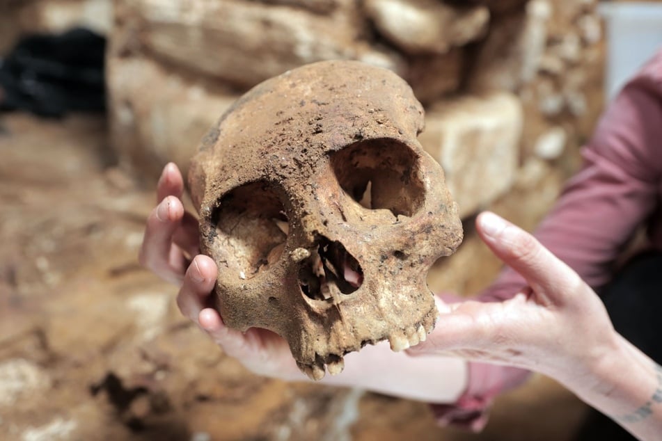 Dieser Schädel wurde in der neu entdeckten Grabkammer gefunden.