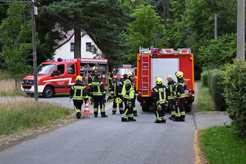 Kameraden der Feuerwehren Rennersdorf und Berthelsdorf fanden, fingen und setzten die Natter in einem nahegelegenen Biotop wieder aus.