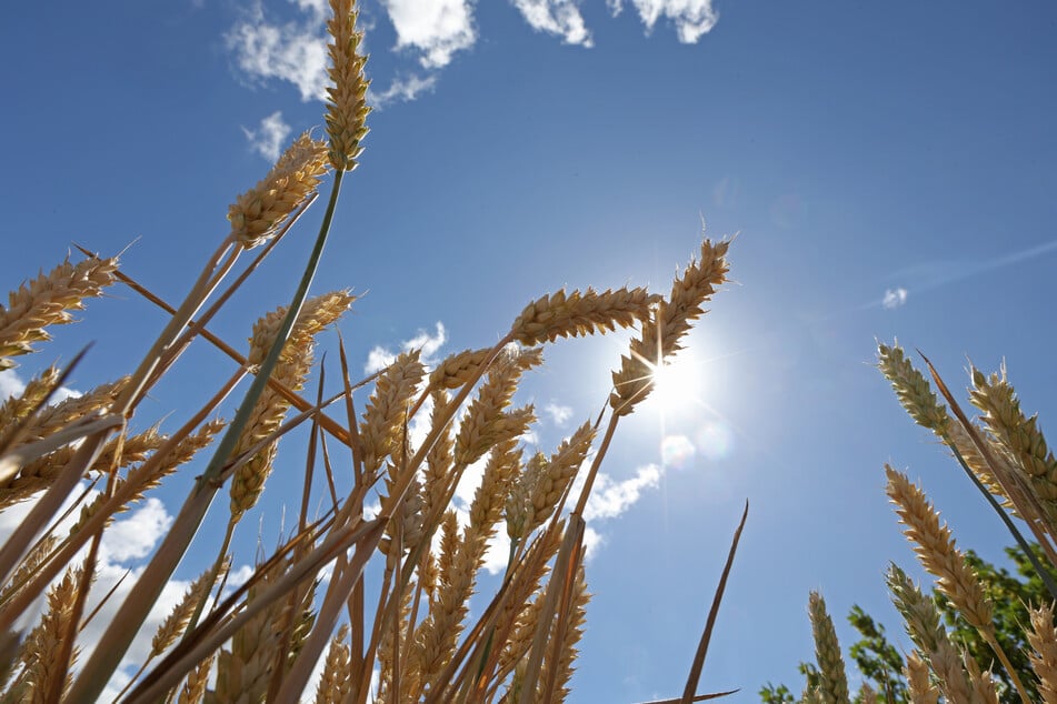 Sommerliche Aussichten für NRW: Am Wochenende sind bis zu 33 Grad möglich. (Symbolbild)
