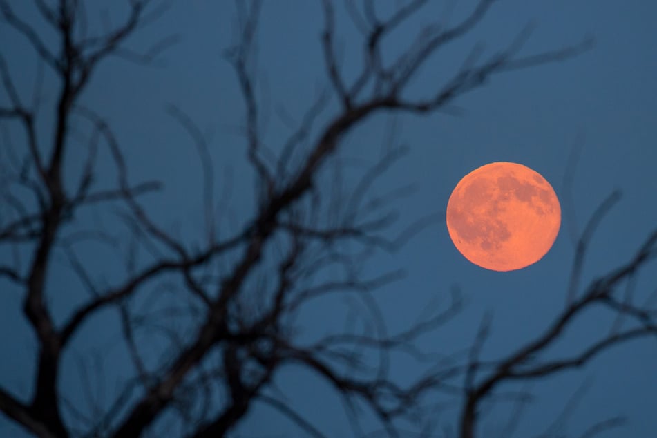 Der Erdbeermond geht auf und erscheint so groß wie lange nicht. (Symbolfoto)