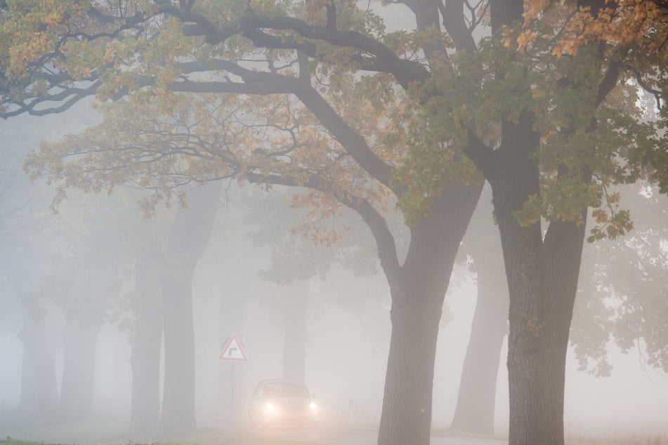 In der Hauptstadtregion wird es am Wochenende neblig. (Archivbild)