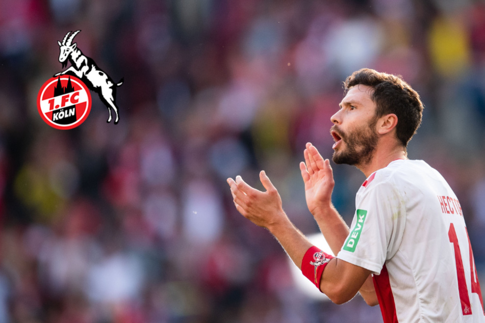 Bleibt Fan-Liebling Hector beim 1. FC Köln? Gespräche sollen laufen!