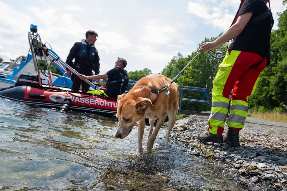 Auch Wasserspürhunde halfen bei der Suche.