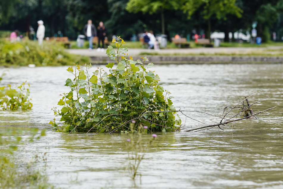 Der Rhein führt nach all dem Regen Hochwasser.