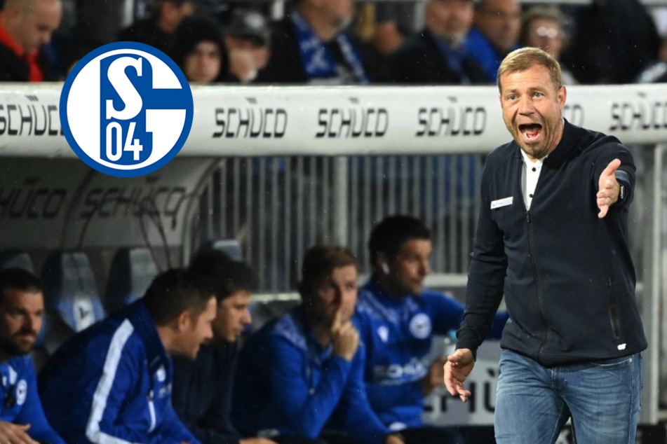Trainersuche beim FC Schalke 04 wohl beendet: Frank Kramer soll Knappen-Coach werden!