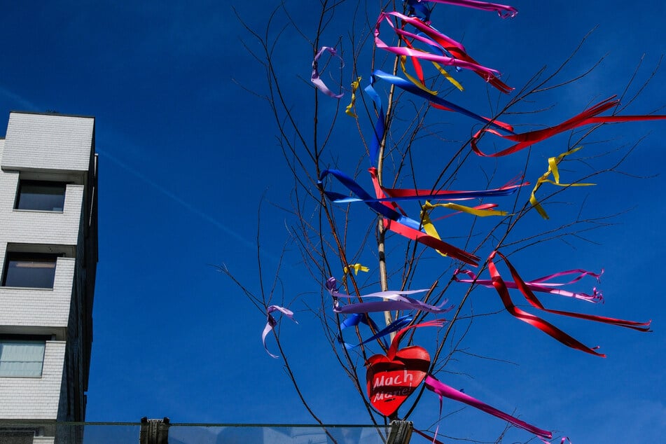 Offizielle Verkaufsstellen in Köln: Hier kannst Du legal einen Maibaum kaufen