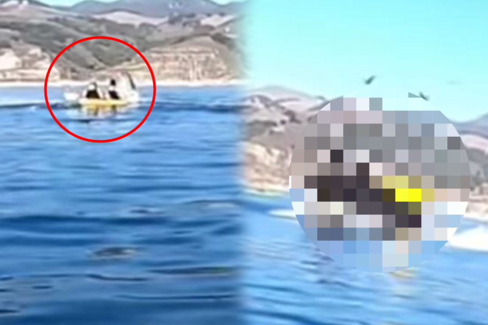 "I'm dead": video shows heart-stopping experience of two kayakers