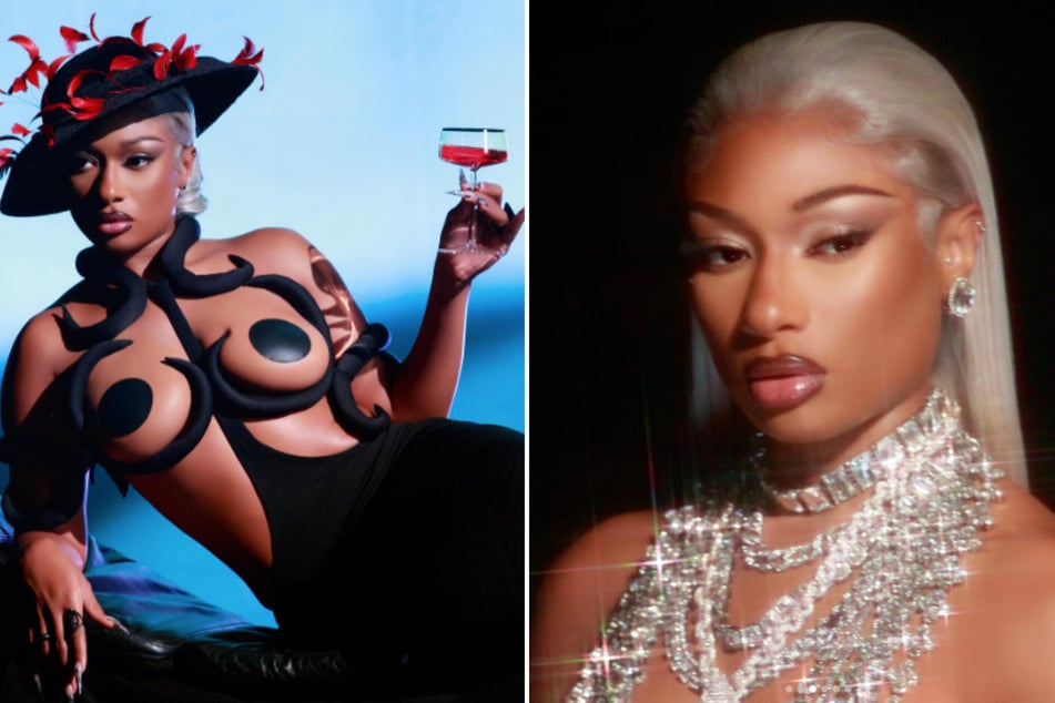 Megan Thee Stallion's Hiss has the Internet swooning over her fashionista looks and bold disses.