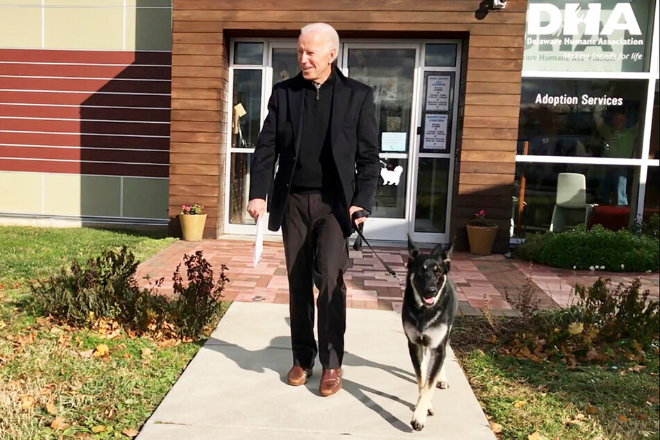 Joe Biden und sein damals neu adoptierter Deutscher Schäferhund "Major" verlassen das Tierheim DHA.