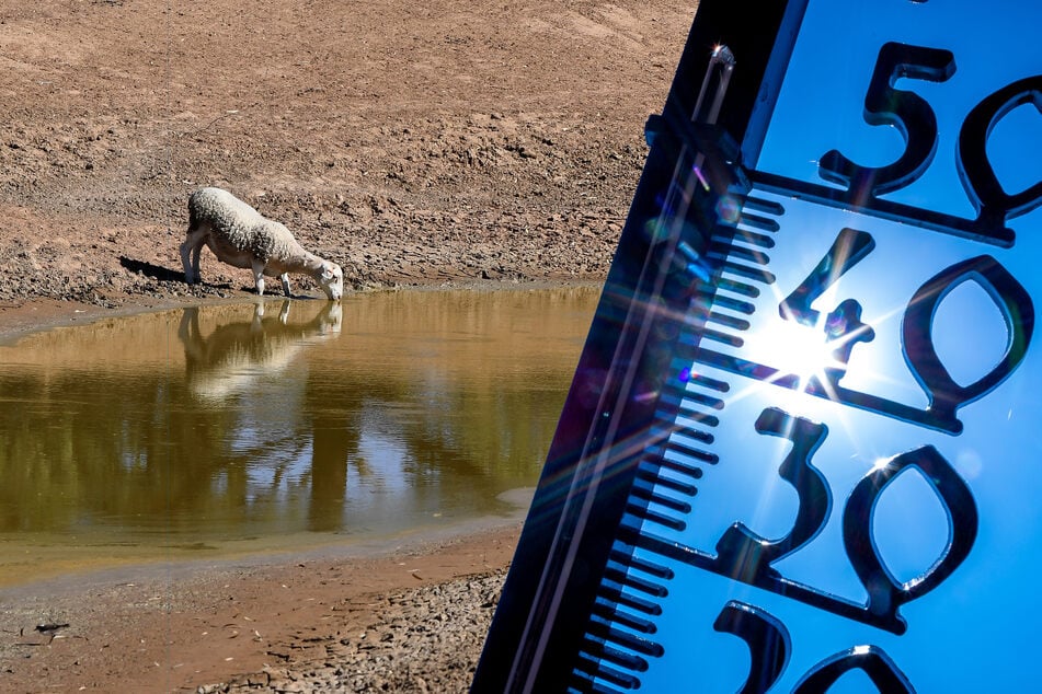 Berüchtigtes Wetterphänomen erkannt: Angst vor Dürre und Rekord-Hitze