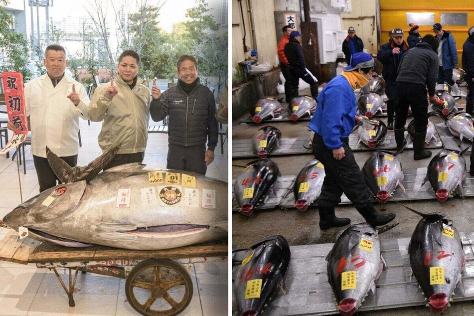 A massive bluefin tuna on Sunday sold for some $1.3 million at the first auction of the season at Tokyo's popular fish market, the second-highest ever achieved.